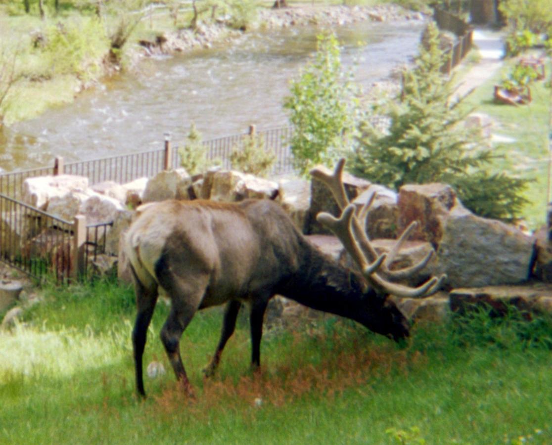 Skyline Cottages Estes Park Exteriér fotografie